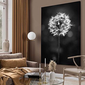 ALLUTO LLC